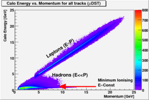 Calorimeter energy vs momentum